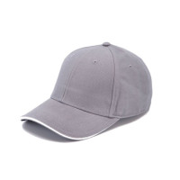 Baseball cap sandwich grey 2099